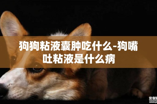 狗狗粘液囊腫吃什么-狗嘴吐粘液是什么病