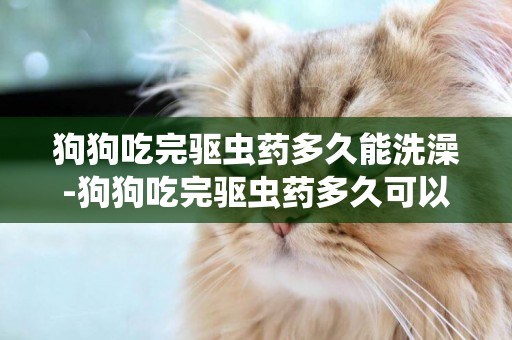 狗狗吃完驅蟲藥多久能洗澡-狗狗吃完驅蟲藥多久可以吃飯