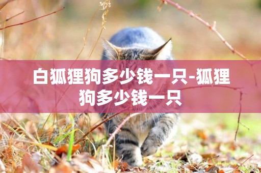 白狐貍狗多少錢一只-狐貍狗多少錢一只