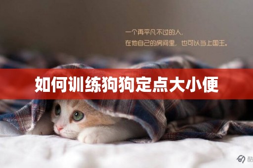 如何訓練狗狗定點大小便