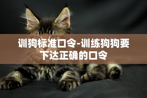 訓狗標準口令-訓練狗狗要下達正確的口令