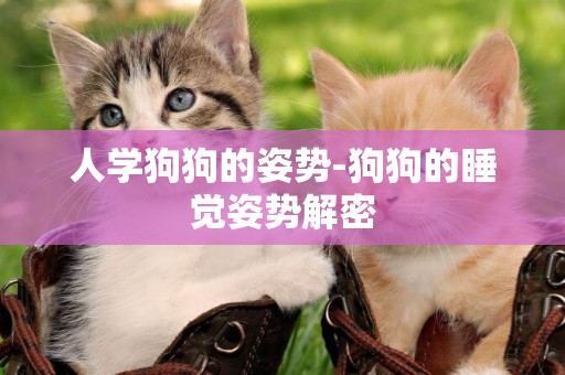 人學狗狗的姿勢-狗狗的睡覺姿勢解密