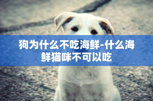 狗為什么不吃海鮮-什么海鮮貓咪不可以吃