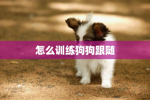怎么訓練狗狗跟隨
