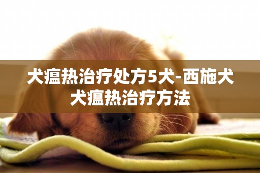 犬瘟熱治療處方5犬-西施犬犬瘟熱治療方法
