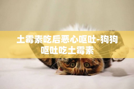 土霉素吃后惡心嘔吐-狗狗嘔吐吃土霉素