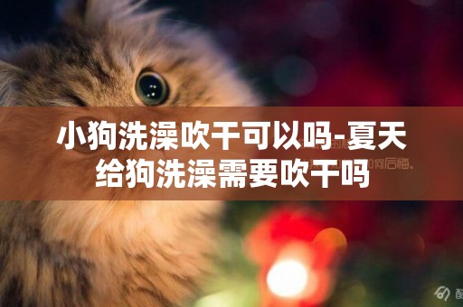 小狗洗澡吹干可以嗎-夏天給狗洗澡需要吹干嗎