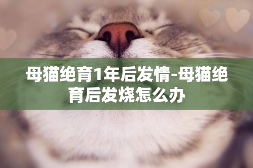母貓絕育1年后發情-母貓絕育后發燒怎么辦