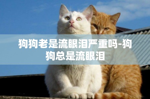 狗狗老是流眼淚嚴重嗎-狗狗總是流眼淚
