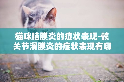 貓咪腦膜炎的癥狀表現-髖關節滑膜炎的癥狀表現有哪些