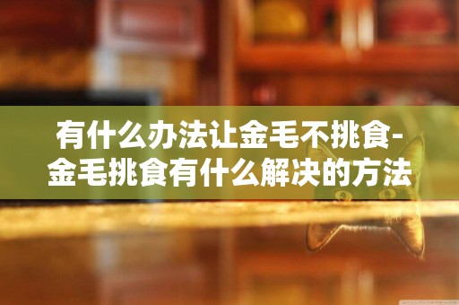 有什么辦法讓金毛不挑食-金毛挑食有什么解決的方法