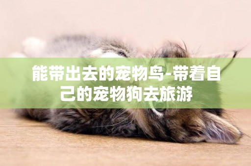 能帶出去的寵物鳥-帶著自己的寵物狗去旅游