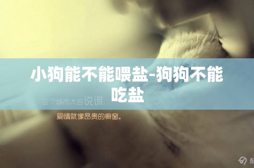 小狗能不能喂鹽-狗狗不能吃鹽