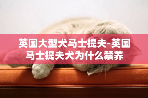 英國大型犬馬士提夫-英國馬士提夫犬為什么禁養