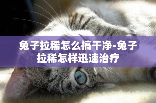 兔子拉稀怎么搞干凈-兔子拉稀怎樣迅速治療
