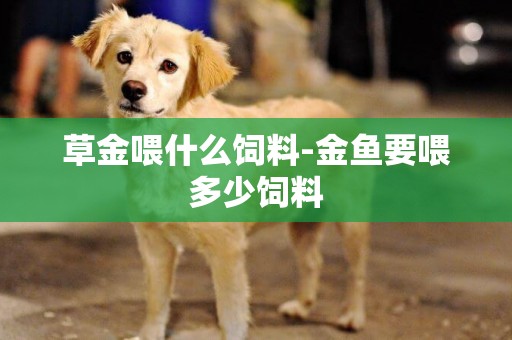 草金喂什么飼料-金魚要喂多少飼料