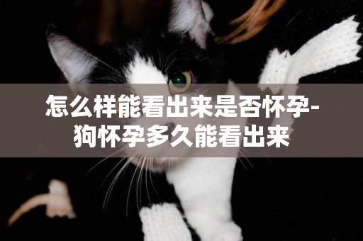 怎么樣能看出來是否懷孕-狗懷孕多久能看出來