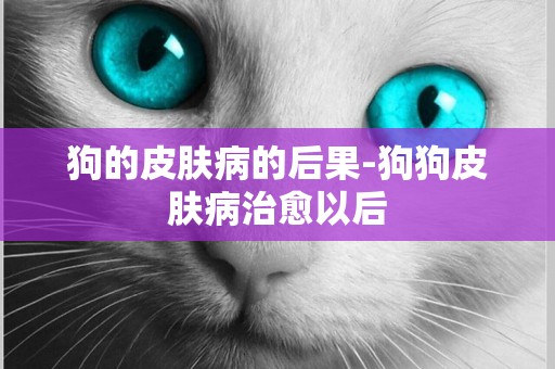 狗的皮膚病的后果-狗狗皮膚病治愈以后
