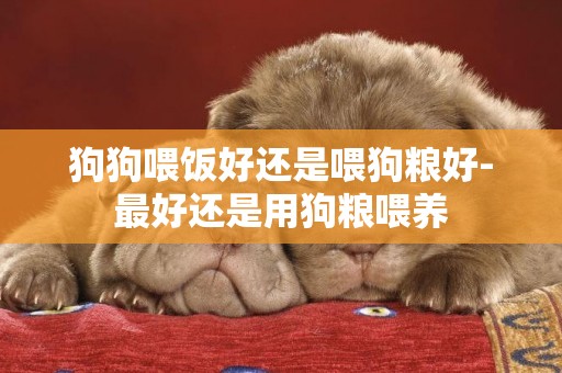 狗狗喂飯好還是喂狗糧好-最好還是用狗糧喂養