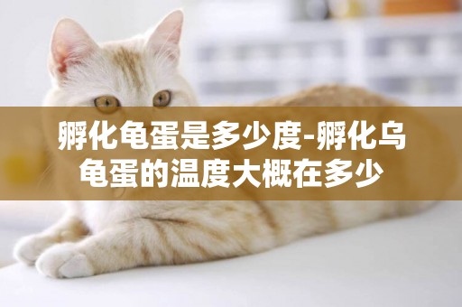 孵化龜蛋是多少度-孵化烏龜蛋的溫度大概在多少