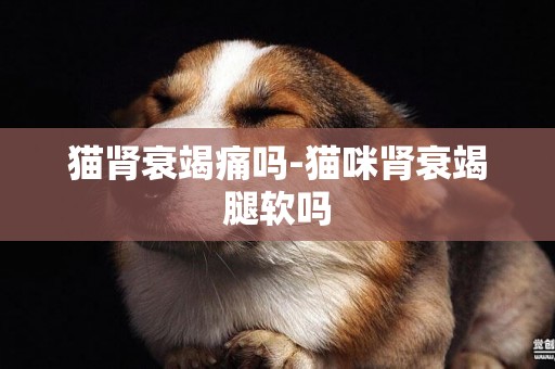 貓腎衰竭痛嗎-貓咪腎衰竭腿軟嗎