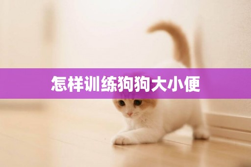 怎樣訓練狗狗大小便