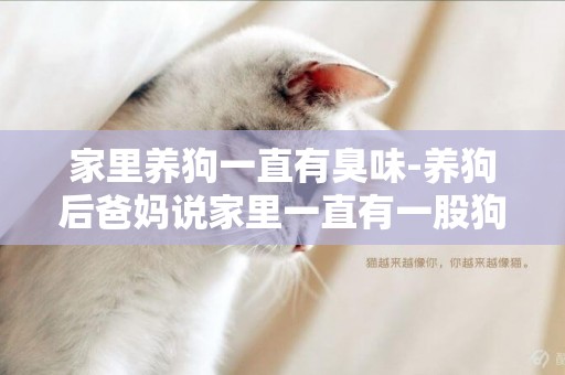 家里養狗一直有臭味-養狗后爸媽說家里一直有一股狗味