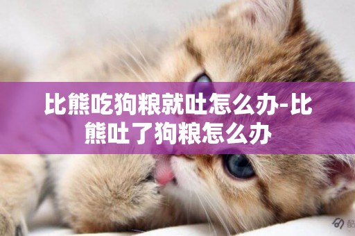 比熊吃狗糧就吐怎么辦-比熊吐了狗糧怎么辦