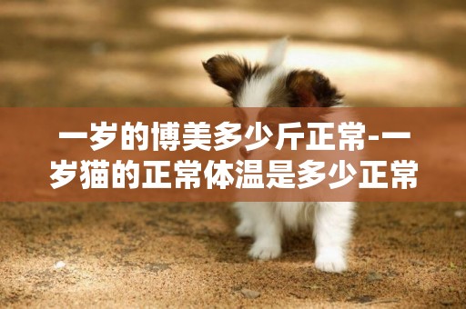 一歲的博美多少斤正常-一歲貓的正常體溫是多少正常嗎