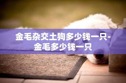 金毛雜交土狗多少錢一只-金毛多少錢一只