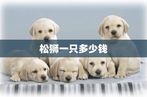 松獅一只多少錢