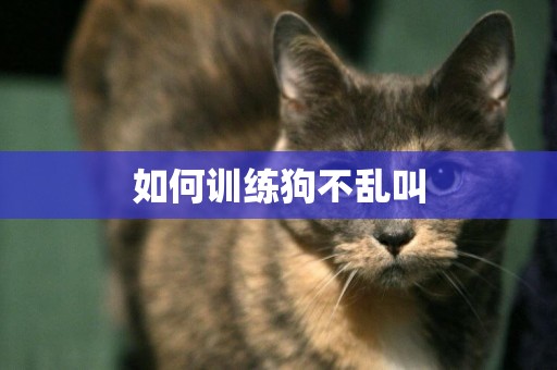 如何訓練狗不亂叫