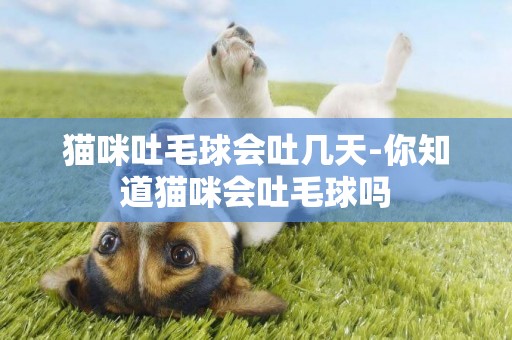 貓咪吐毛球會吐幾天-你知道貓咪會吐毛球嗎