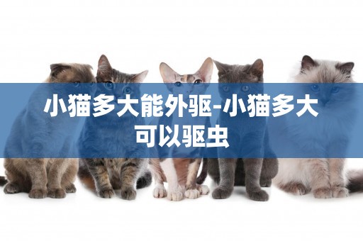 小貓多大能外驅-小貓多大可以驅蟲