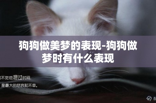 狗狗做美夢的表現-狗狗做夢時有什么表現