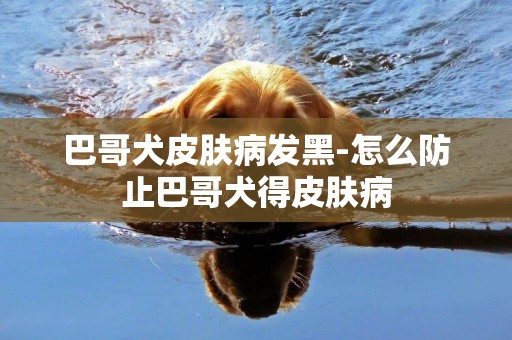 巴哥犬皮膚病發黑-怎么防止巴哥犬得皮膚病