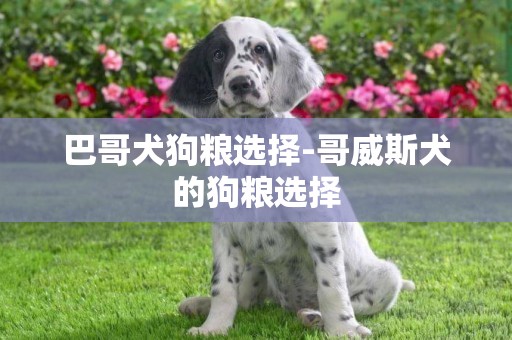 巴哥犬狗糧選擇-哥威斯犬的狗糧選擇