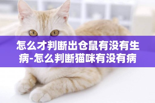 怎么才判斷出倉鼠有沒有生病-怎么判斷貓咪有沒有病