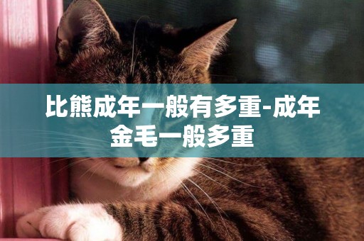 比熊成年一般有多重-成年金毛一般多重