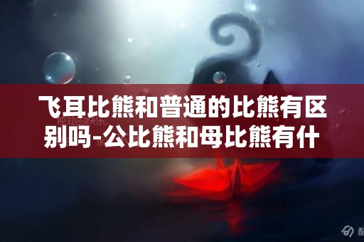 飛耳比熊和普通的比熊有區別嗎-公比熊和母比熊有什么區別