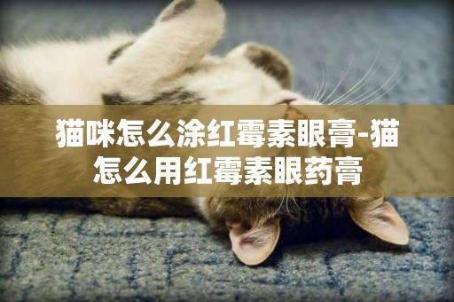 貓咪怎么涂紅霉素眼膏-貓怎么用紅霉素眼藥膏