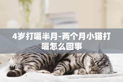 4歲打嗝半月-兩個月小貓打嗝怎么回事