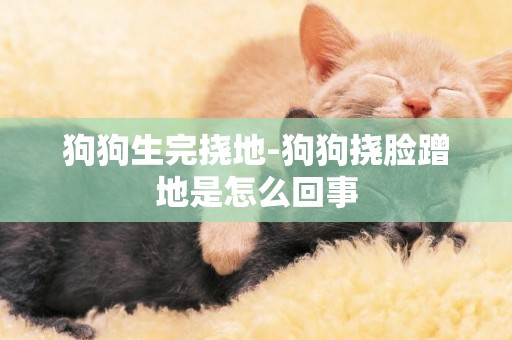 狗狗生完撓地-狗狗撓臉蹭地是怎么回事