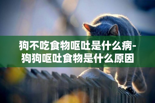 狗不吃食物嘔吐是什么病-狗狗嘔吐食物是什么原因