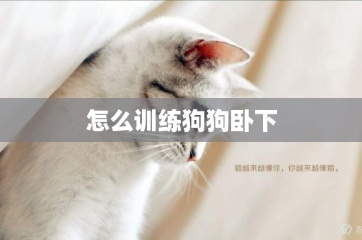 怎么訓練狗狗臥下