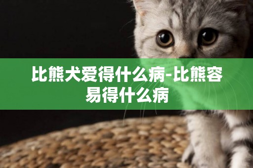 比熊犬愛得什么病-比熊容易得什么病