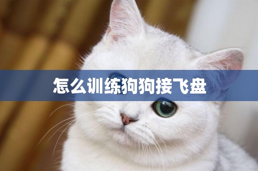 怎么訓練狗狗接飛盤