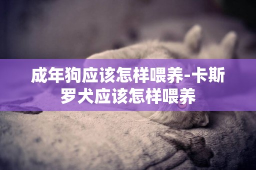 成年狗應該怎樣喂養-卡斯羅犬應該怎樣喂養