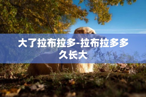 大了拉布拉多-拉布拉多多久長大