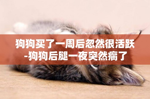 狗狗買了一周后忽然很活躍-狗狗后腿一夜突然瘸了